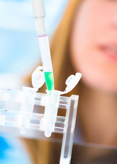 stem-cell-research