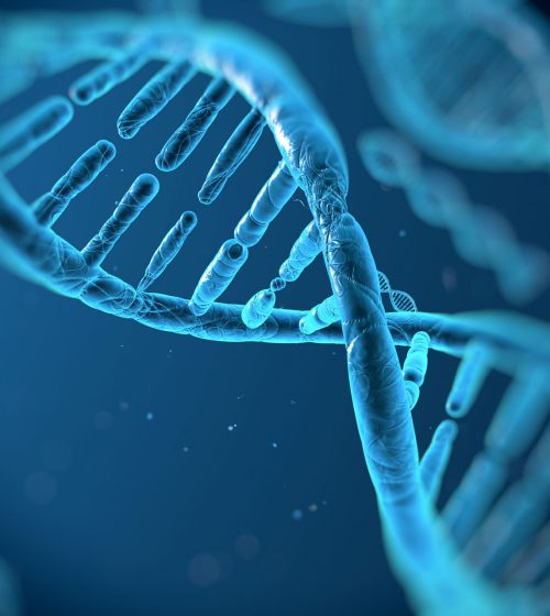 stem-cell-therapy-dna-repair stem-cell-therapy-dna-repair