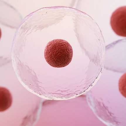 stem-cells-red